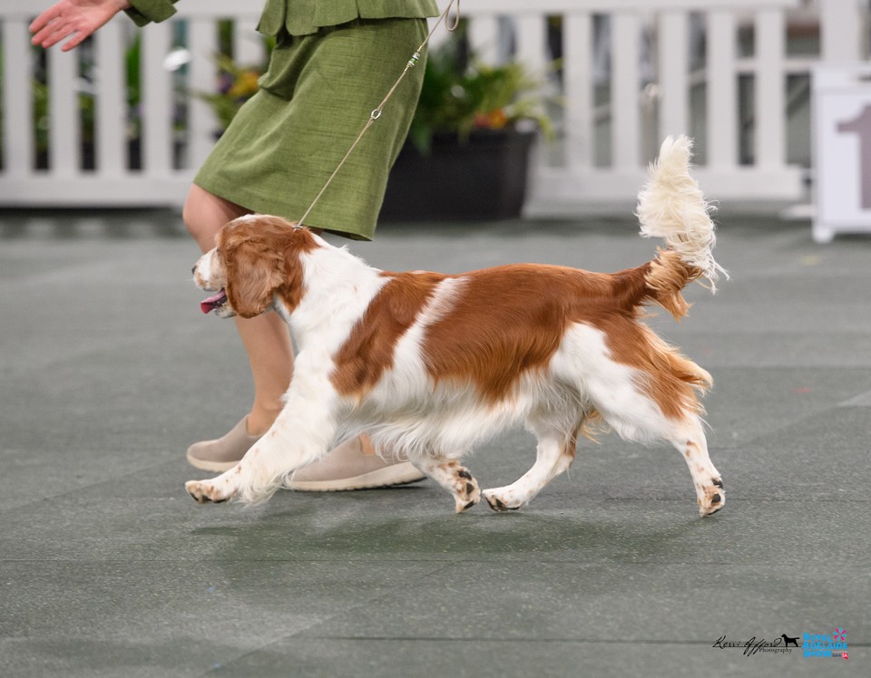 2024_Royal_Adelaide_Show-6289
