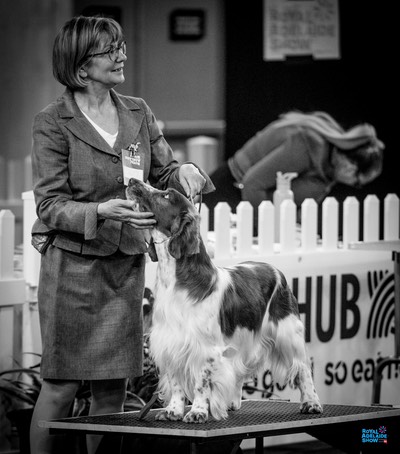 2024_Royal_Adelaide_Show-6102