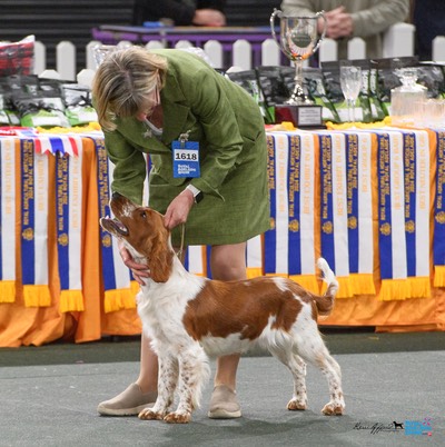 2024_Royal_Adelaide_Show-1116