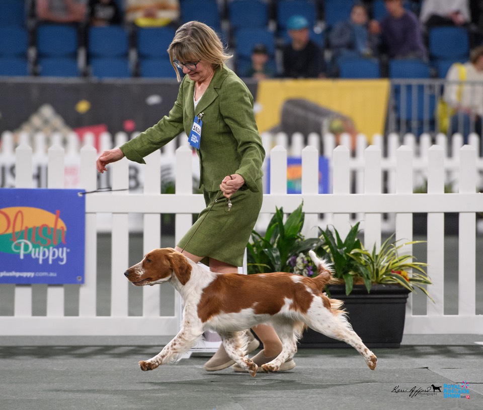 2024_Royal_Adelaide_Show-6134