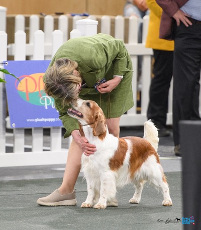 2024_Royal_Adelaide_Show-1321