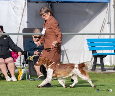 2026_Winter_Internationals-9189
