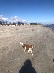 At the beach