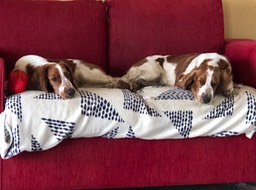 Bookends