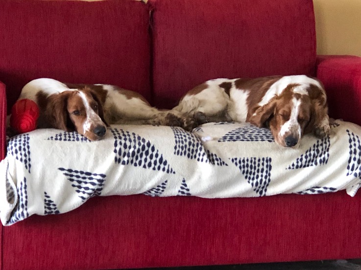 Bookends