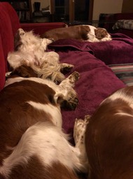 Chilling on the lounge
