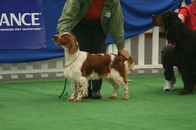 mc 31 Royal Show 2008 019