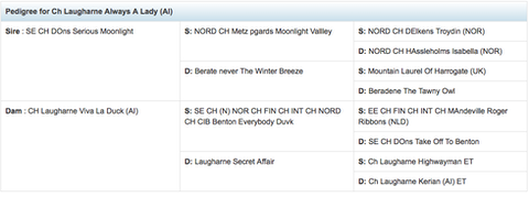 Screen Shot 2018-08-17 at 12.46.31 pm