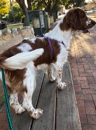 Walk time