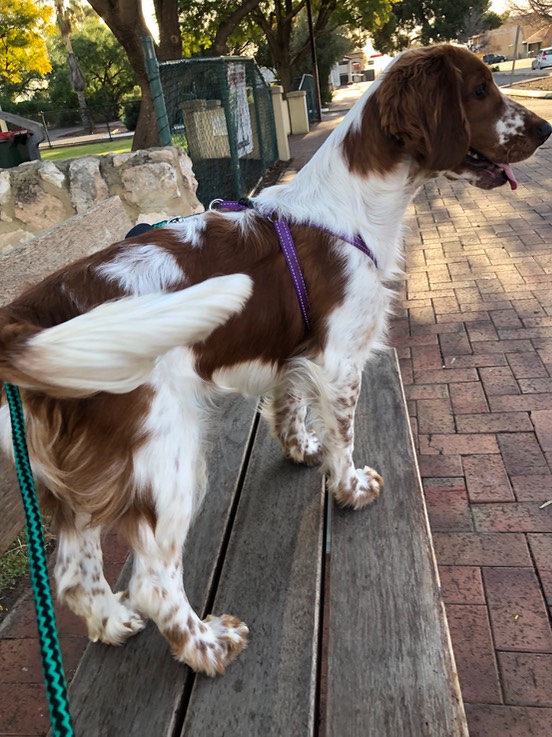 Walk time